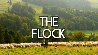The Flock