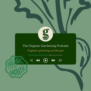 S6 Ep10: August - The driest summer on record! How to mitigate drought in your growing space