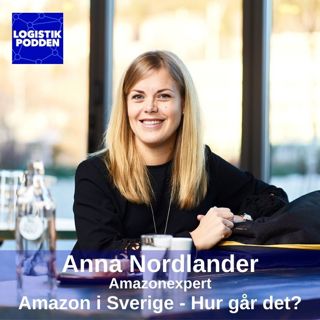Anna Nordlander, Amazonexpert: Amazon i Sverige - hur går det?