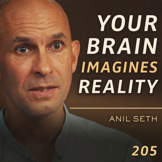 E205 - Anil Seth: Your Perception of Reality & Self Is a Hallucination
