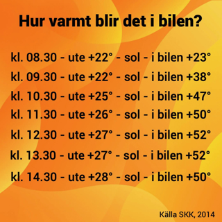 Sommar, sol och hundliv