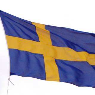 Vi och Dom: Nationalismens framtid (R)
