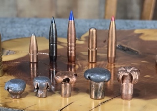 How To Pick a Hunting Bullet