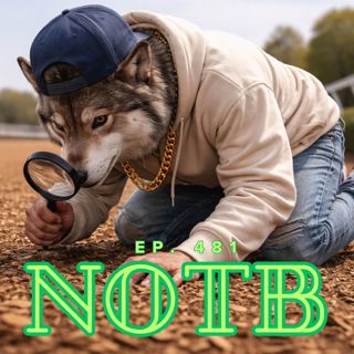 Wednesday Turfway Park 12/17/2025 Best Bets! | The Notorious OTB – Daily Horse Racing Picks (Ep. 481)