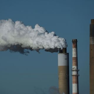 How Trump’s Shredding Green Regulations