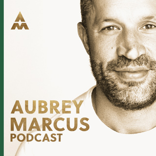 Architect Your Mind To See The TRUTH & Transcend Suffering | Peter Crone #497