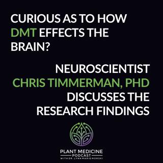 DMT Scientific Research with Dr. Chris Timmerman