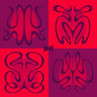 This is Your Brain on Hormones