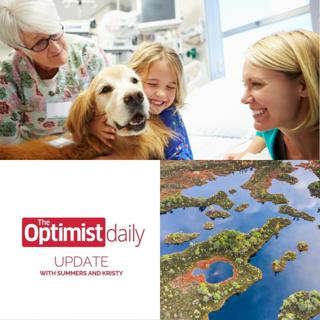 Therapy Dogs & Peatlands