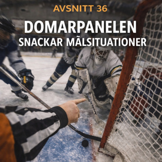 Avsnitt 36 - Domarpanelen snackar målsituationer