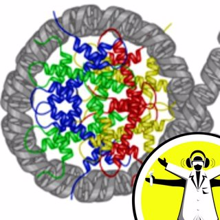 Unravelling Epigenetics