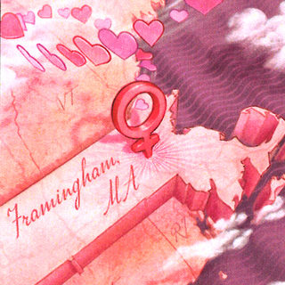 Framingham at 70: What We've Learned About Women and Heart Disease