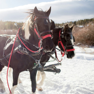 BYU-Idaho is putting on a sleigh ride and dinner for students
