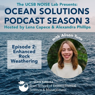 Season 3 Episode 2: Enhanced Rock Weathering with Alison Tune