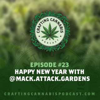 #23 - Happy New Year with @mack.attack.gardens
