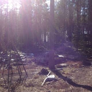 Människorna i skogen