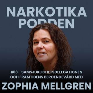 #13 - Samsjuklighetsdelegationen och framtidens beroendevård