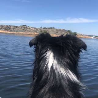 Kan det være fordi vi har forskjellig verdisyn?