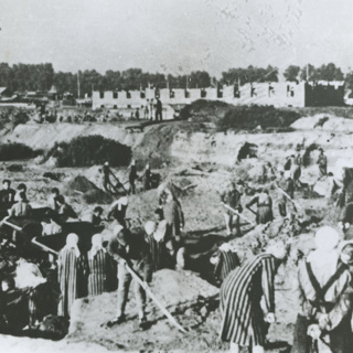 "On Auschwitz (72): The first transports of women to KL Auschwitz