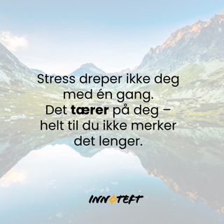 Lande, lade og løfte – hva Dr. Ingrid lærte oss om stress, ledere og bærekraftig arbeidsliv