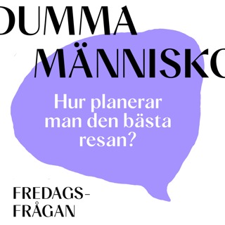 FREDAGSFRÅGAN: Hur planerar man den bästa resan?
