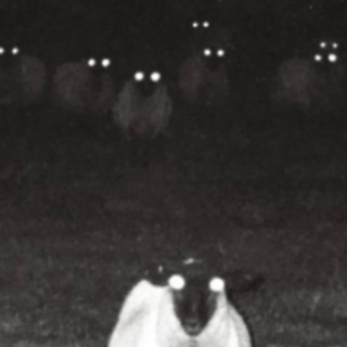 SIMILAR SCARES