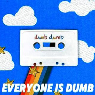 Everyone Is Dumb