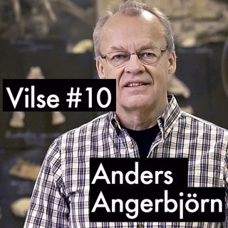 #10: Anders Angerbjörn, fjällrävsforskaren