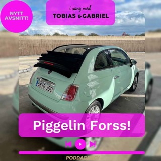 338. Piggelin Forss