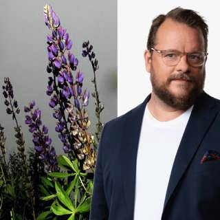 Lupiner och hat: Johan-Mathias Sommarström, Stockholm