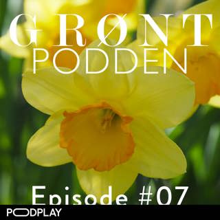 #07 Vårblomstrende påskepynt