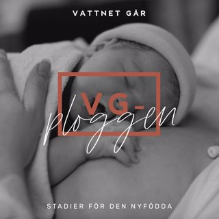 255. VG-ploggen - "Den nyföddas första stadier"