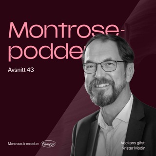 #43 - Nästan allt du behöver veta om svenska folkaktieportföljen 2024 med Euroclears Krister Modin