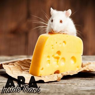 Who Moved My Cheese Book Club - CE Instructor: Dr. Jackie MacDonald