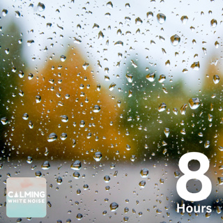 Drizzling Rain Sounds for Sleeping (8 Hours) | Fall Asleep Immediately!