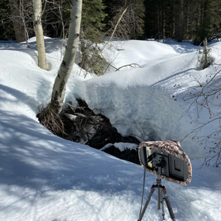 125: Winter Afternoon Beside Moosehead Creek