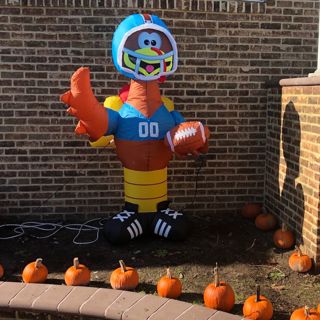 Talking Turkey...and Football