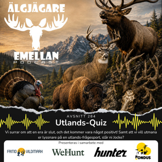 284. Utlands-Quiz