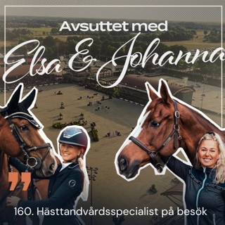 160. Hästtandvårdsspecialist på besök