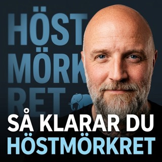 Den blå elefanten — så tar du dig genom höstmörkret