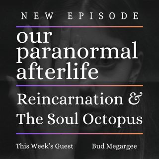 Reincarnation & The Soul Octopus Analogy