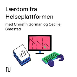 Lærdom fra Helseplattformen
