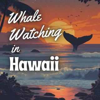 A Calming Sleep Story - Whale Watching in Hawaii