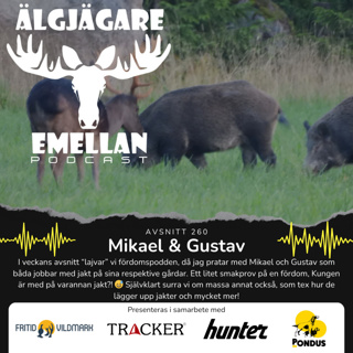 260. Mikael & Gustav