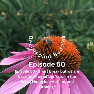 Episode 50 - Requeen Problems, Cutout, July 4 Honey Harvest, Mite Treatment Meeting, Honeybee Hotline, Droning on, and MORE!