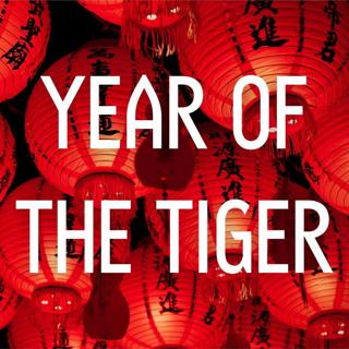 Year of the Tiger - Relax and Fall Asleep to Music Inspired by China