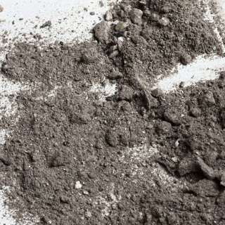 3.2.22 - Ashes, Ashes, We All Are Loved (Ash Wednesday)