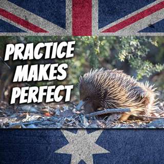 AE 468 - WWP: Practice Makes Perfect