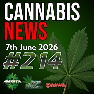 20 Years in Prison for 59ml of Vape Juice? | UK Driving Rules Explained | Cancer Research Show Cannabis Reduces Tumour Size | FDA Breakthrough & Hemp CBD Fight | Cannabis News Ep. 214