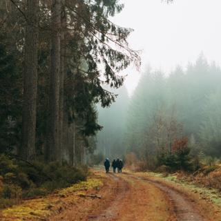 110: Exploring the Art of Exploration